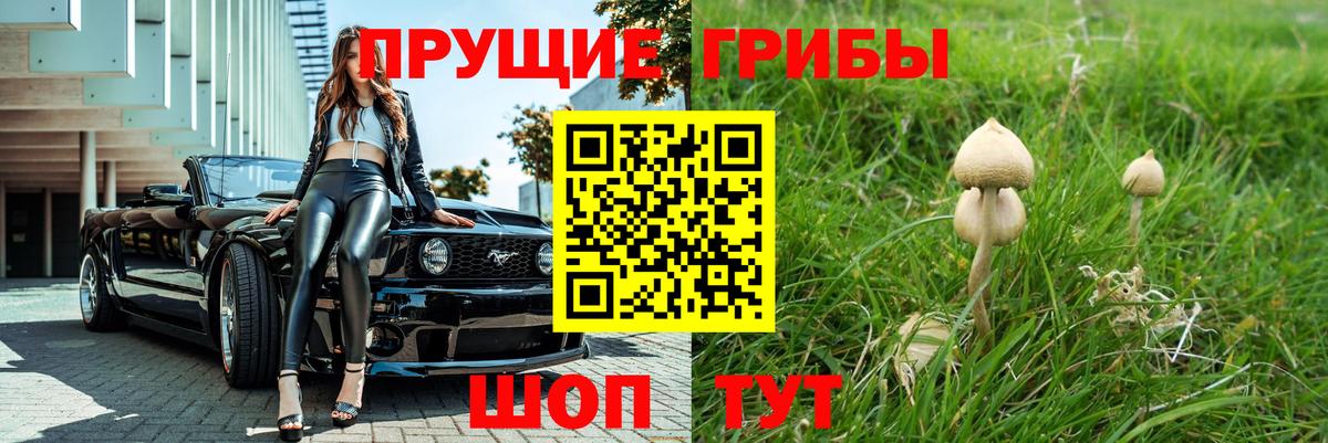 Галлюциногенные грибы прущие грибы  Вход с VPN  Строитель  Галлюциногенные грибы Cubensis 