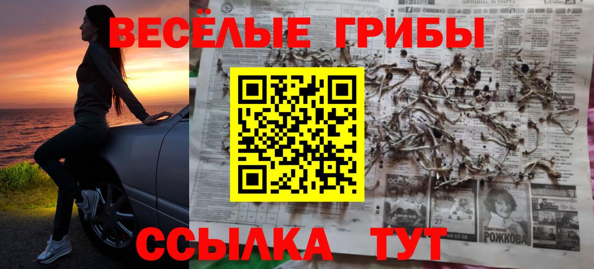 Псилоцибиновые грибы Magic Shrooms Строитель